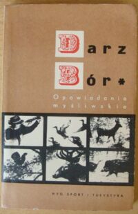 Miniatura okładki Szczepkowski Józef J. /wybór/, Rozwadowski S. /ilustr./ Darz bór. Opowiadania myśliwskie.