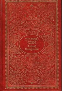 Miniatura okładki Szczypiorski Andrzej Złowić cień. /Biblioteka Literatury Polskiej/