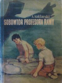 Miniatura okładki Szklarski Alfred Sobowtór Profesora Rawy.