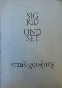 Miniatura okładki Undset Sigrid Krzak gorejący.