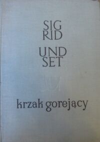 Zdjęcie nr 1 okładki Undset Sigrid Krzak gorejący.