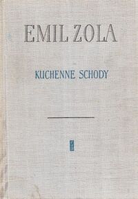 Miniatura okładki Zola Emil Kuchenne schody.